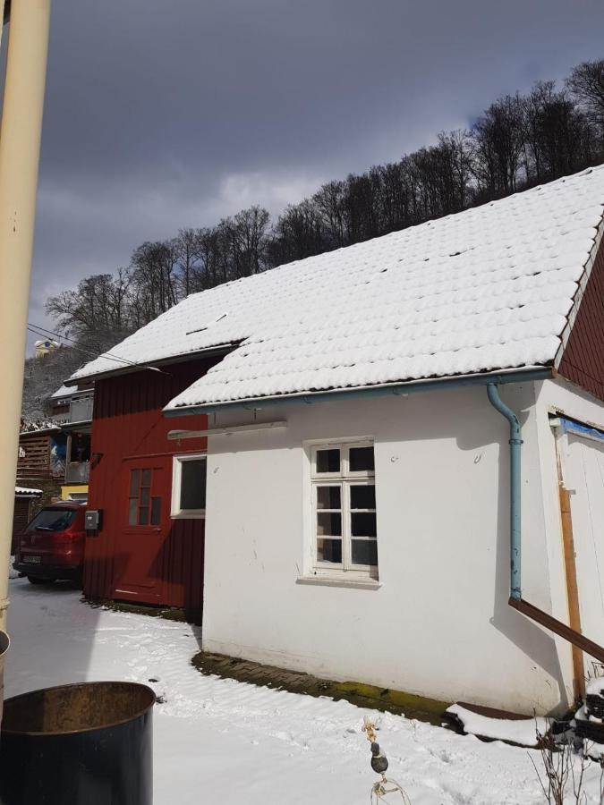 Ferienhaus Am Fluss Mit Traumhafter Dachterrasse ,Garten Und Grill Walkenried Exterior foto