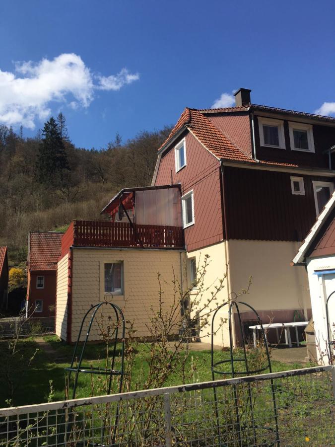 Ferienhaus Am Fluss Mit Traumhafter Dachterrasse ,Garten Und Grill Walkenried Exterior foto